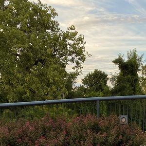 Meet your Posher, Aurora